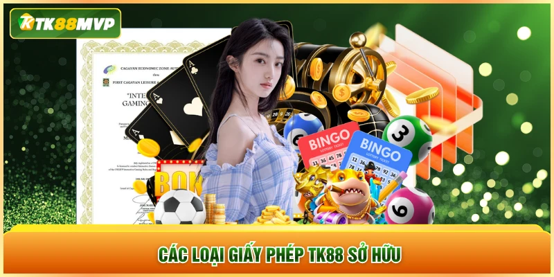 Các loại giấy phép Tk88 sở hữu